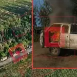 "Azov" soldiers showed how they burned a Russian military convoy: "Run away, occupiers"