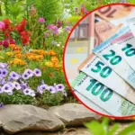 Beautiful but treacherous: growing these plants in the garden can result in hundreds in fines