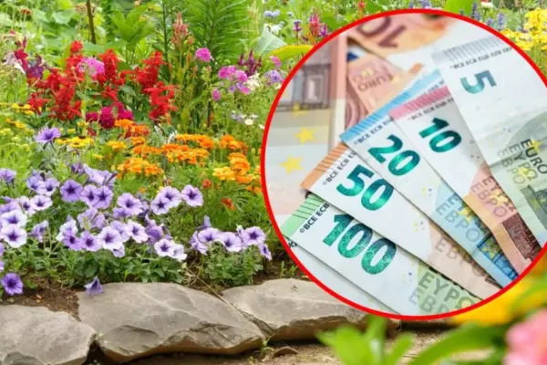 Beautiful but treacherous: growing these plants in the garden can result in hundreds in fines
