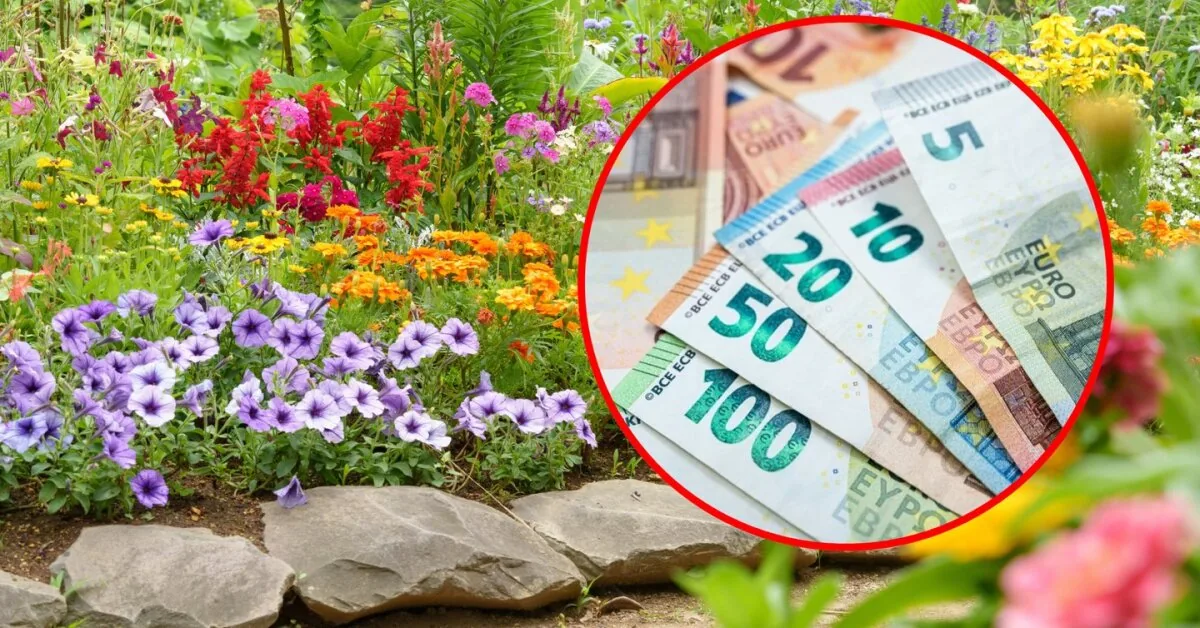 Beautiful but treacherous: growing these plants in the garden can result in hundreds in fines