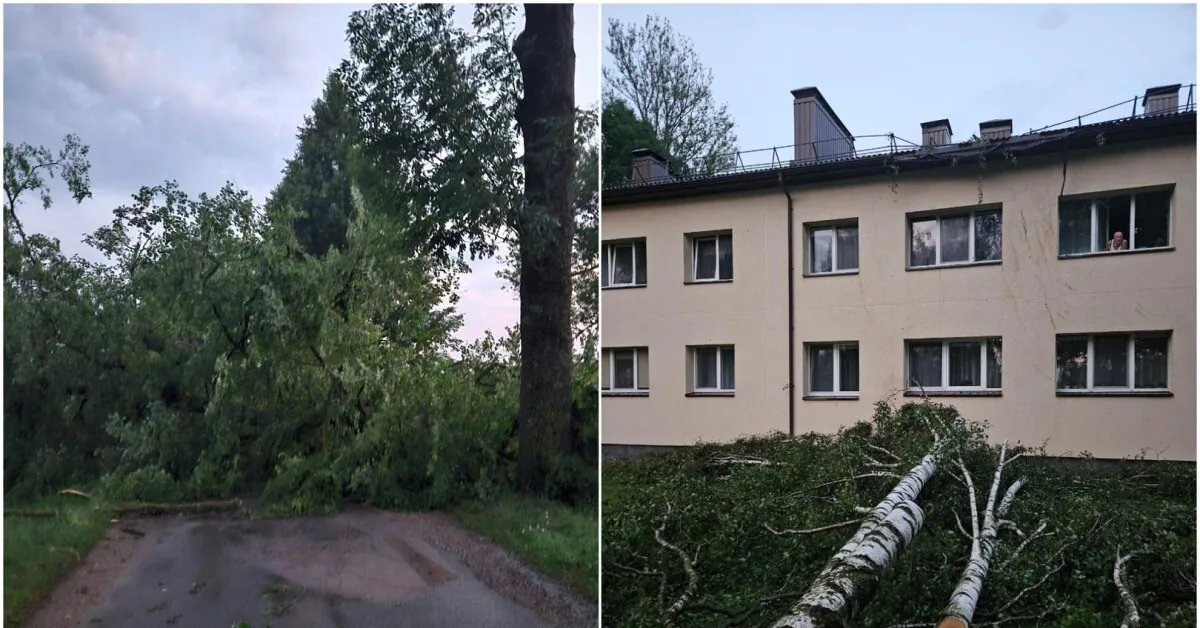 Eišiškės elder after the storm: "Residents are in shock"