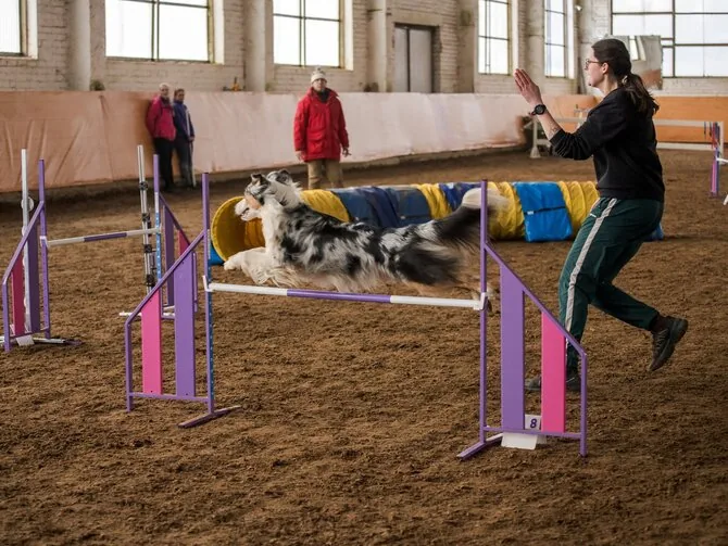 Personal photo/'Agility' training