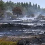 Pareigūnai: Belgijos miško gaisras naktį apsuptas, bet situacija išlieka sudėtinga