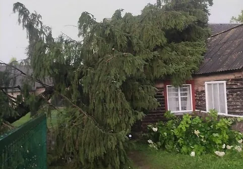 The Kernavė archaeological site was severely damaged during the storm