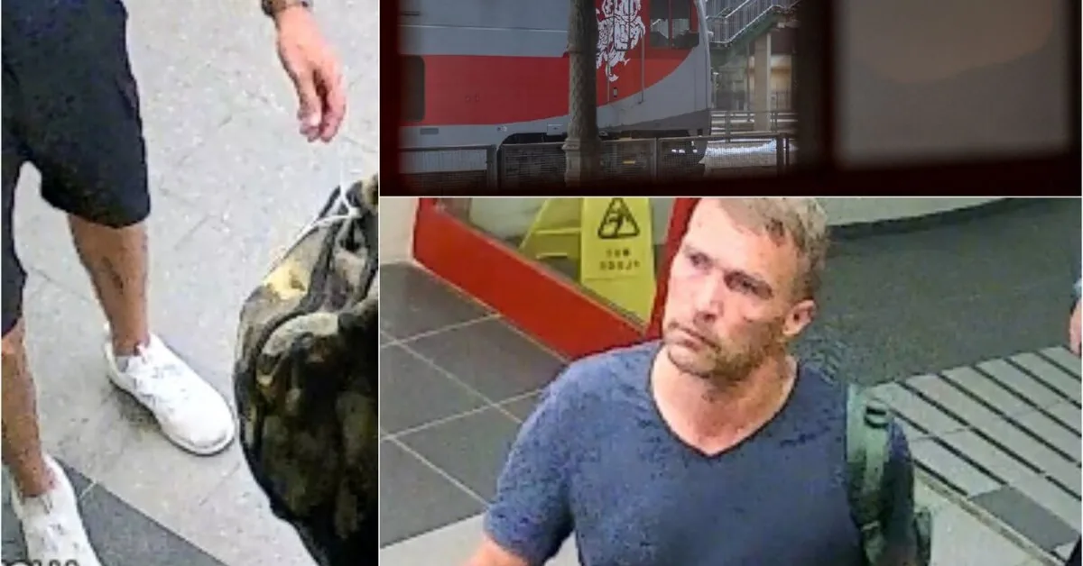 Passenger's luggage stolen on the train: everything is filmed at the station – will the suspect be found and punished?