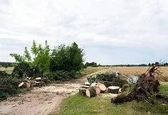The storm caused a lot of damage in Druskininkai municipality