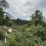 Some villages in the Varėna district were not spared by the storm – this area suffered the most