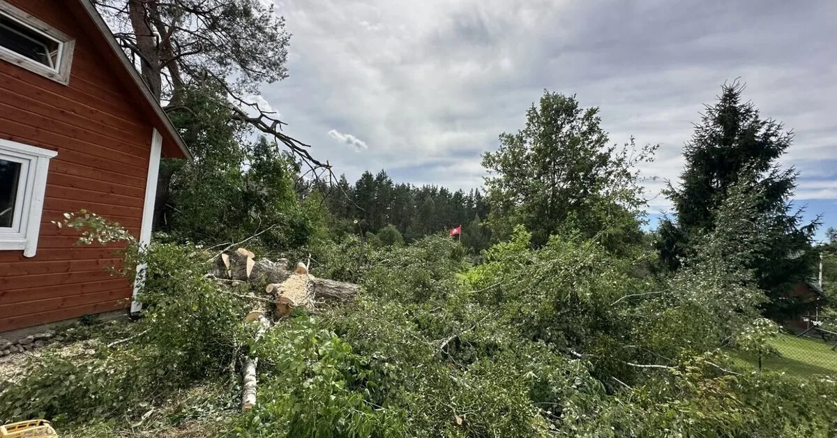 Some villages in the Varėna district were not spared by the storm – this area suffered the most