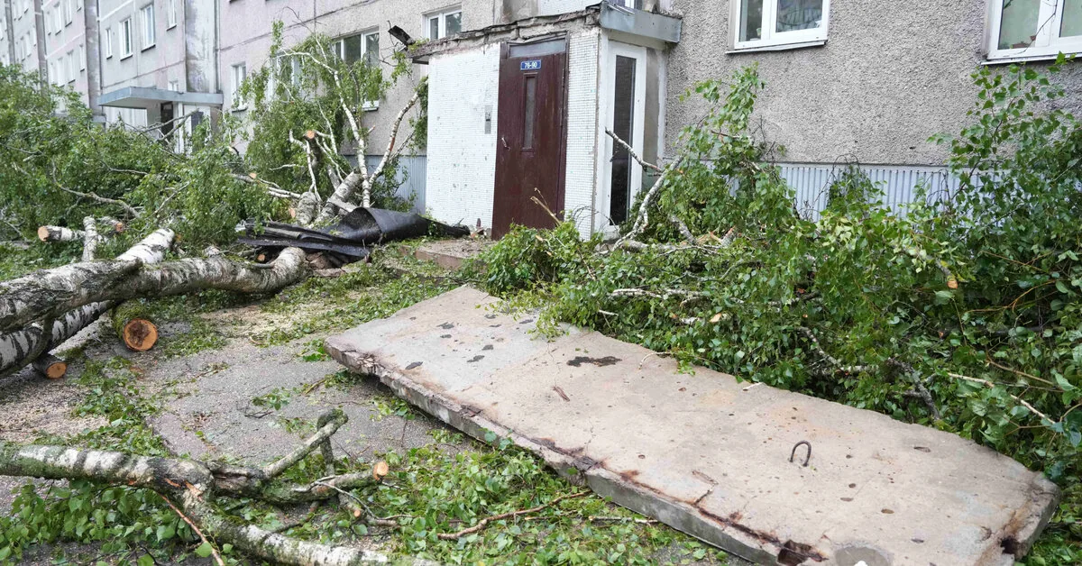 After the storms that raged in Latvia last weekend, insurers postponed payments of 8.05 million euros