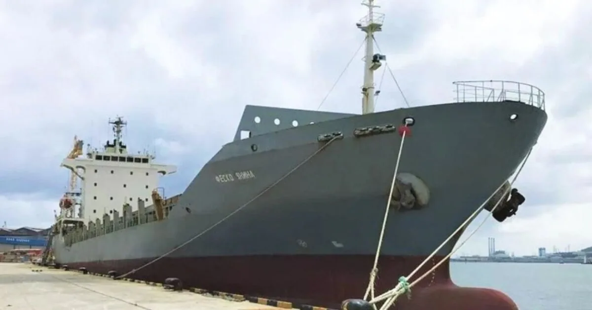 Russians boil with anger: the "Rosatom" container ship sunk