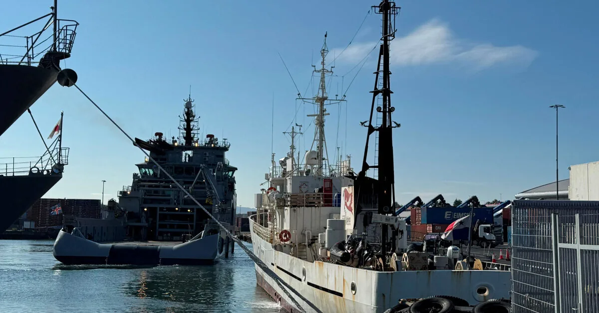 Police: Iceland ordered the expulsion of 21 whale hunting opponents