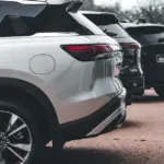 What is the age of cars purchased on lease in Lithuania?