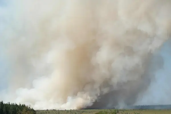 Forest fire rapidly spreading in Belgium has devastated at least 1,600 hectares
