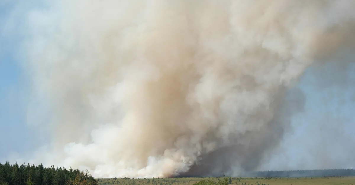 Forest fire rapidly spreading in Belgium has devastated at least 1,600 hectares