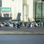 A dangerous disease detected in Joniškis: the service warns bird keepers