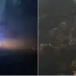 Storm ravaged Dzūkija: hundreds of trees toppled