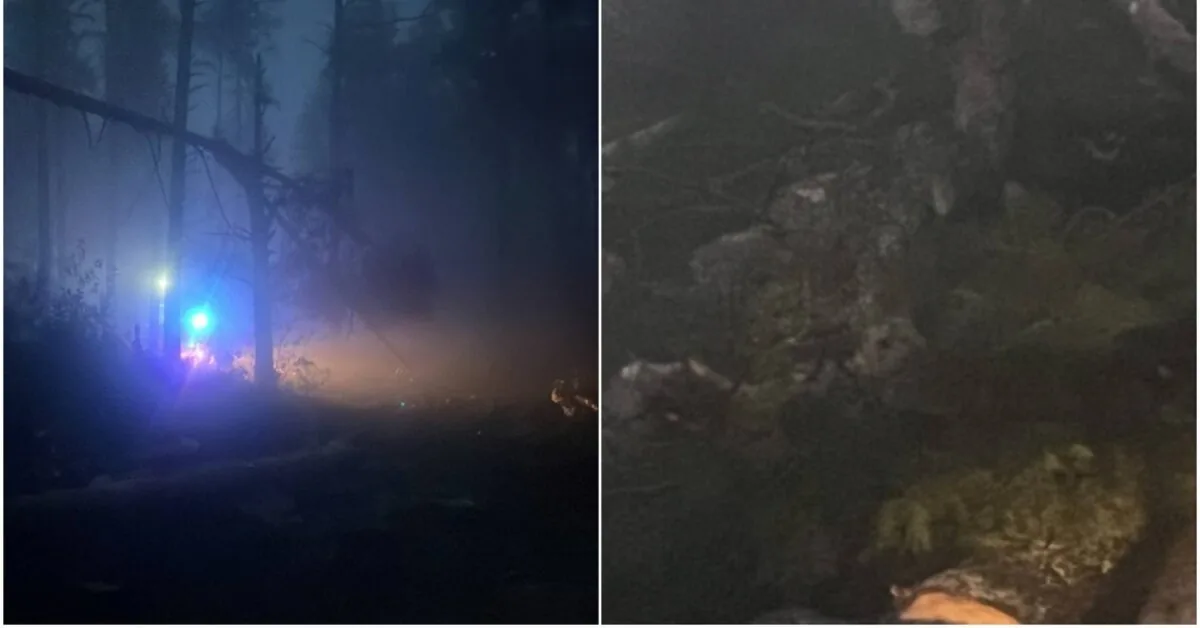 Storm ravaged Dzūkija: hundreds of trees toppled