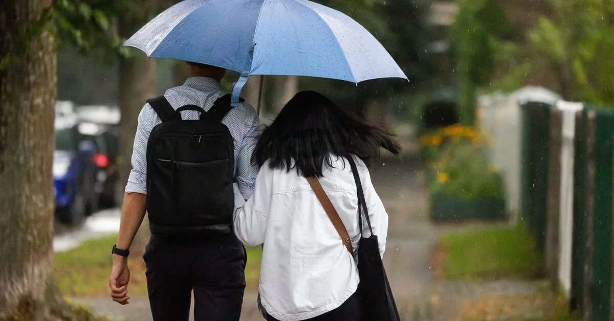 The meteorologists have good news: although we will get a portion of rain, there will soon be more sun