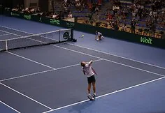 Lithuanian and Serbian tennis teams encounter in the Davis Cup competition in Niš
