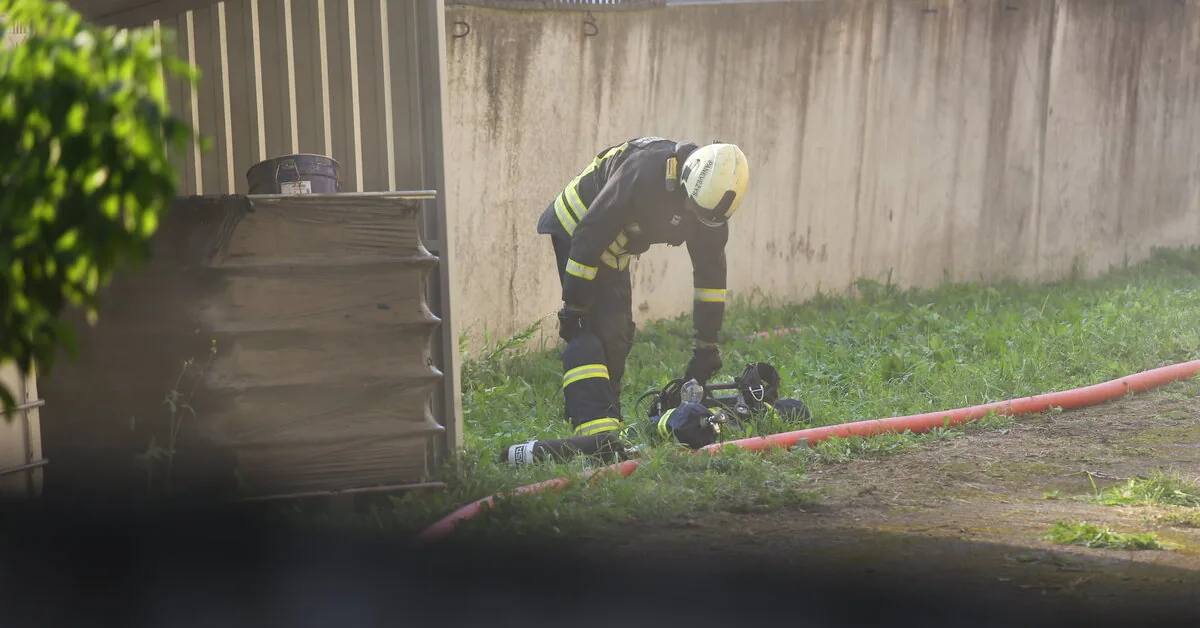 Vilniaus rajone per gaisrą žuvo žmogus