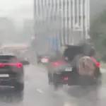 Heavy rain in Vilnius: streets flooded, trees toppled