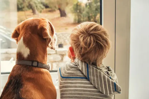 From the floors to the panoramic windows: what dog owners should know when choosing a home