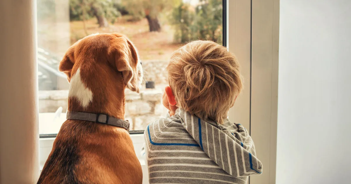 From the floors to the panoramic windows: what dog owners should know when choosing a home