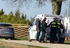 Suspect detained in the murder of Mantas Sadauskas