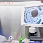 From Vilnius laboratories to New York: how knowledge transfer is changing medicine