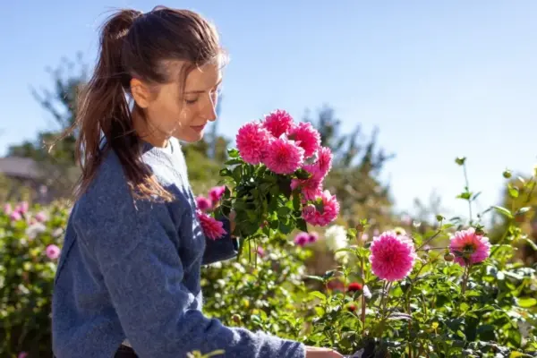 7 tasks that must be done in the garden in September: later it may be too late