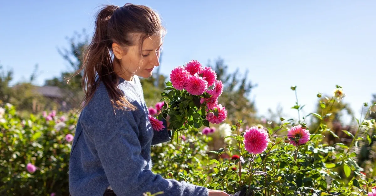7 tasks that must be done in the garden in September: later it may be too late