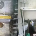In the high school kitchen – a series of violations: the food supplier's activity has been suspended