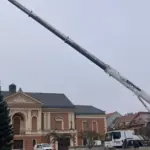 At the beginning of autumn, the search for the Christmas tree begins