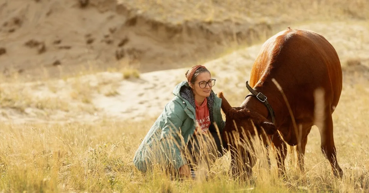„I didn't expect cows here of all things“: she returned to Nida after 20 years