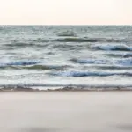„Items found on the beach“: Search and rescue operation took place in Nida