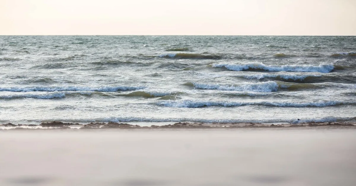 „Items found on the beach“: Search and rescue operation took place in Nida