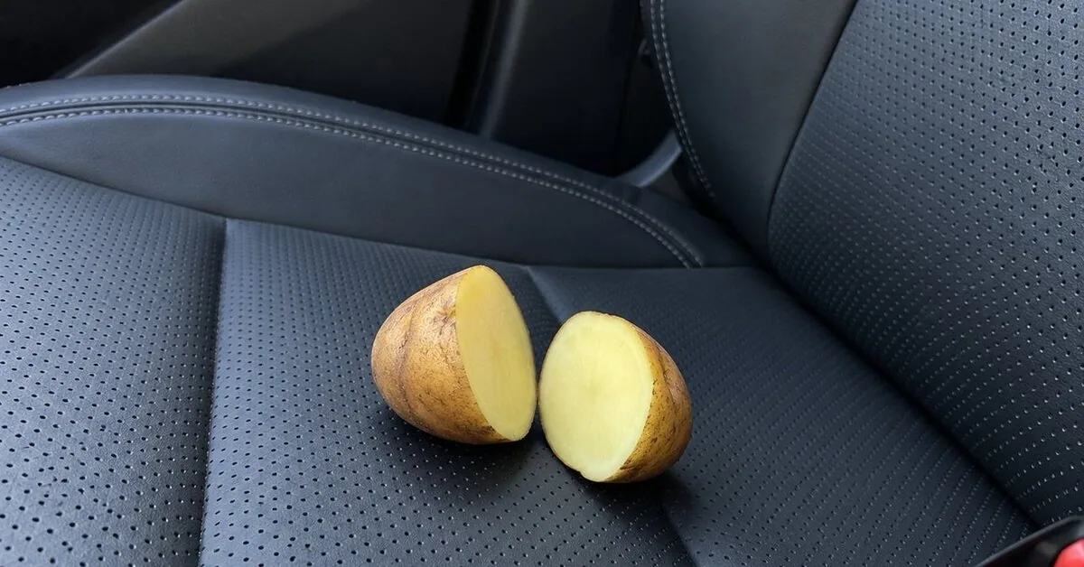 Driver's trick with a potato: what happens when you clean the glass with it?