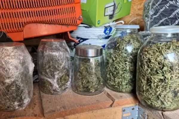 Alytus police found 12 liters of homemade moonshine-filled cannabis at the suspect's home