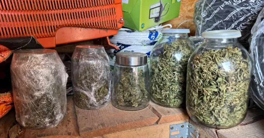 Alytus police found 12 liters of homemade moonshine-filled cannabis at the suspect's home
