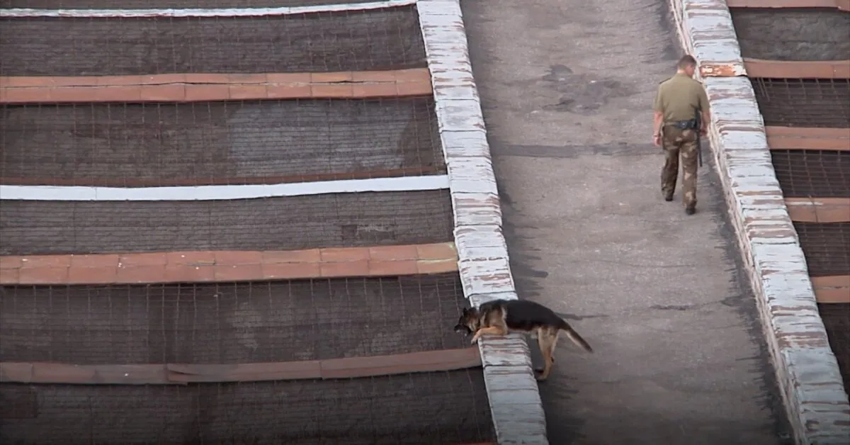 A film awarded a special documentary prize in Venice, to which Lithuanians also contributed