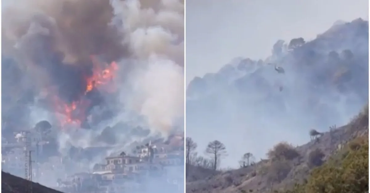 Horror in Spain: a huge fire broke out in a popular tourist region
