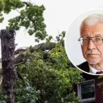 When the wind shut down Lithuania: what the storm revealed about the fragility of our lives?