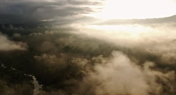Frame from the film/Frame from the film “We Are the Forest's Fruits”