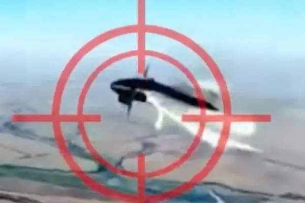 Released into the air up to 100 thousand dollars: calculated how much damage Ukrainian capture drones caused to the Russians