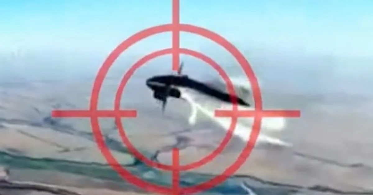 Released into the air up to 100 thousand dollars: calculated how much damage Ukrainian capture drones caused to the Russians