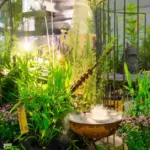 From insect DNA to a Japanese garden: what landscaping trends are changing our environment