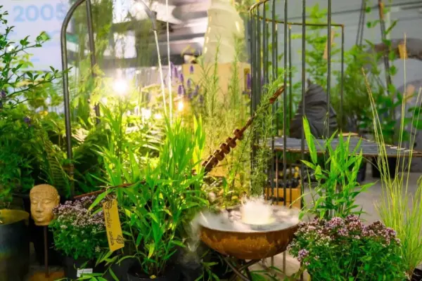 From insect DNA to a Japanese garden: what landscaping trends are changing our environment