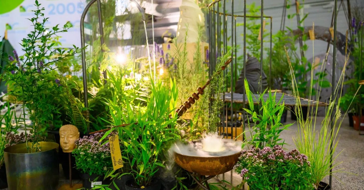 From insect DNA to a Japanese garden: what landscaping trends are changing our environment