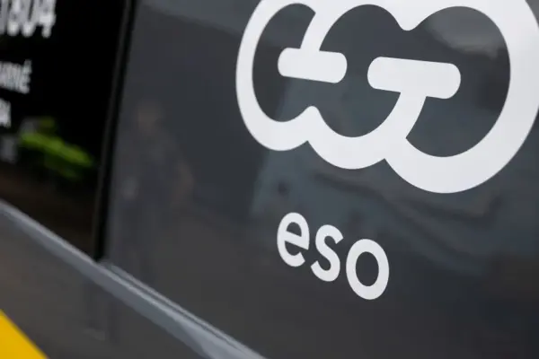 ESO will have to return almost a million euros to the state budget