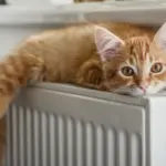 Residents can now apply for heating compensation: here’s what you need to know